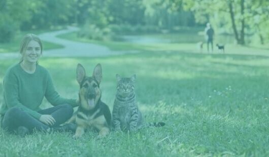 Formation ACACED : chiens, chats et NACS